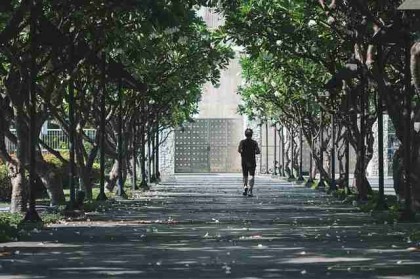 p站入口专题上线｜数据趋势观察影响力持续扩大