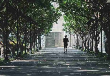 p站入口专题上线｜数据趋势观察影响力持续扩大